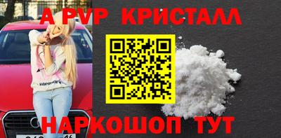 спиды Славгород