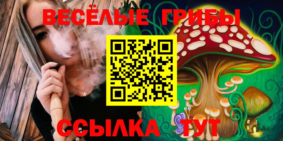 Псилоцибиновые грибы Cubensis  Вход с VPN  Спасск-Дальний  Галлюциногенные грибы Psilocybe 